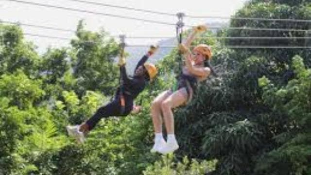 Río Grande: Rainforest Zipline Experience