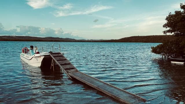 Vieques: Bioluminescent Bay Boat Tour