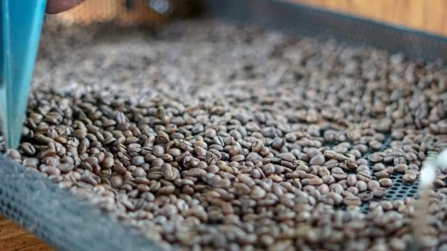 La Fortuna: North Fields Coffee and Chocolate Tour