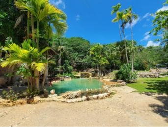 Adventure from Samaná: Los Haitises, Caño Hondo, and Yanigua
