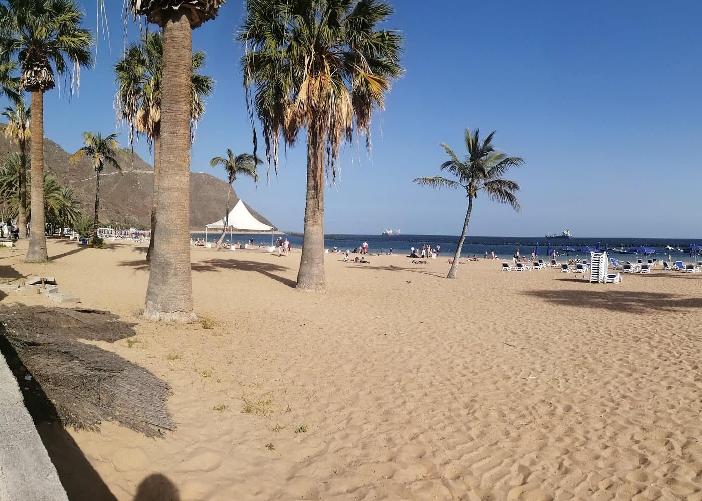 Full day tour visiting Santa Cruz, La Laguna and Anaga