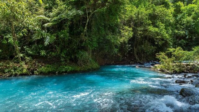 La Fortuna Town: Rio Celeste and Tenorio National Park Tour