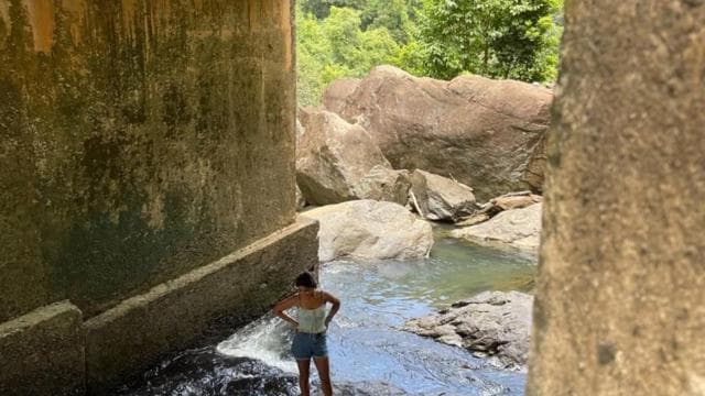 San Juan: Waterfall Hike in El Yunque Rainforest
