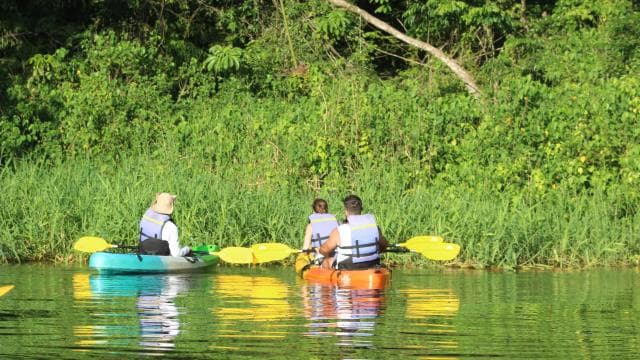 Tortuguero: KAYAK Tour in the Canals. An Unparalleled Experience