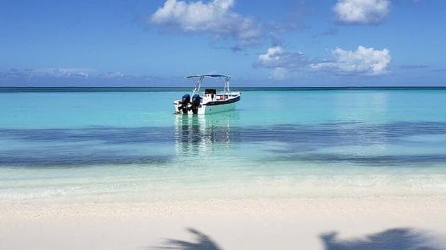 Punta Cana: Saona Island Full-Day Group Tour