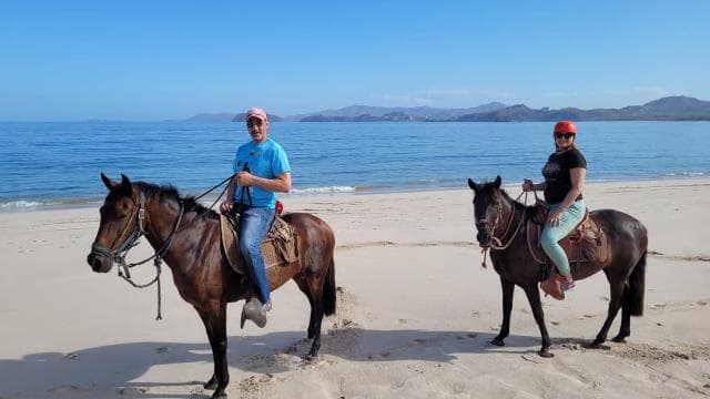 Wonderful horseback Beach and forest ride Brasilito Conchal