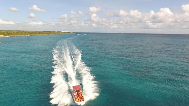 Punta Cana: Saona Island and Altos de Chavón Day Trip