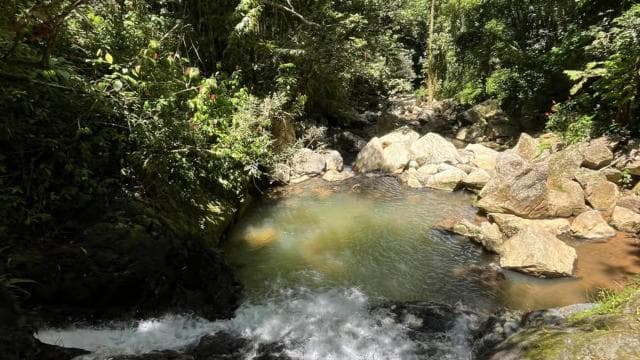 Caguas: Waterfall and Cave Adventure