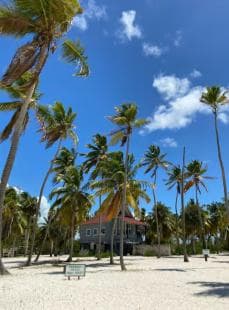 Saona Island VIP: 4 Beaches , Mano Juan & Canto de la Playa