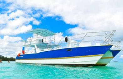 Saona Island Tour From Santo Domingo with Lunch and Pickup