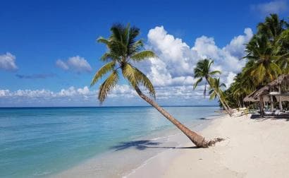 Saona Island: Tour with Lunch and Drinks