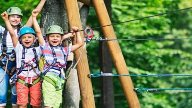 Punta Cana: Zipline Canopy Adventure with Hotel Pickup