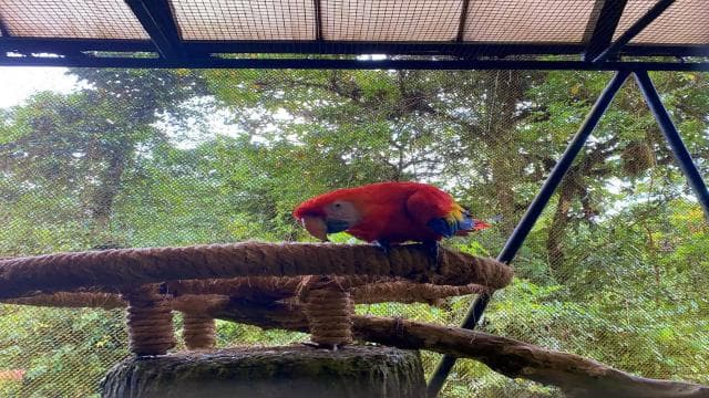 La Paz Waterfall Gardens Day Pass Ticket