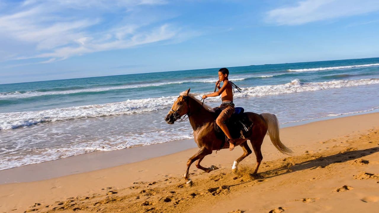 Puerto Plata: 2-Hour Horseback Ride on the Beach