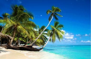 Private: Isla Saona VIP Escape Luxury Beach & Speedboat Tour