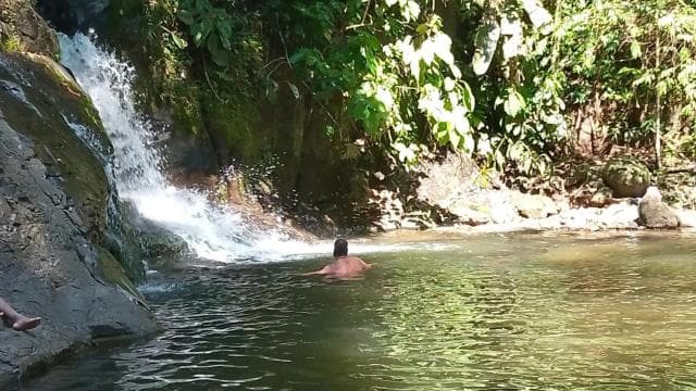 Waterfall with coffee, pineapple + coconut