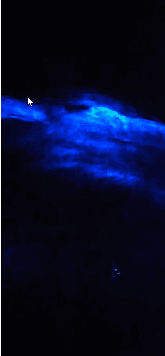 Sehenswürdigkeiten: Bioluminescent Bay Night Clear Kayak Tour - Dominican Republic