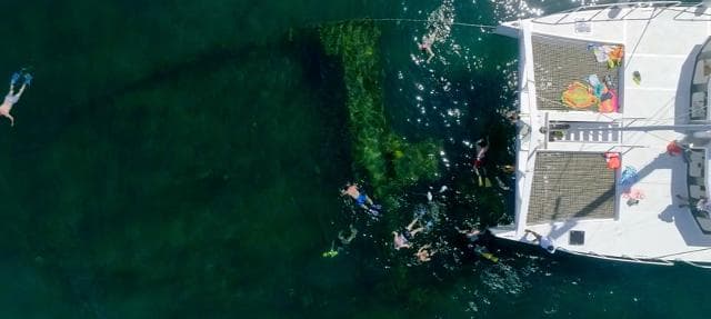 Samaná: Catamaran Boat Tour with Snorkeling and Lunch