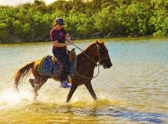 Discover the Trails of Punta Cana on a Horseback Ride