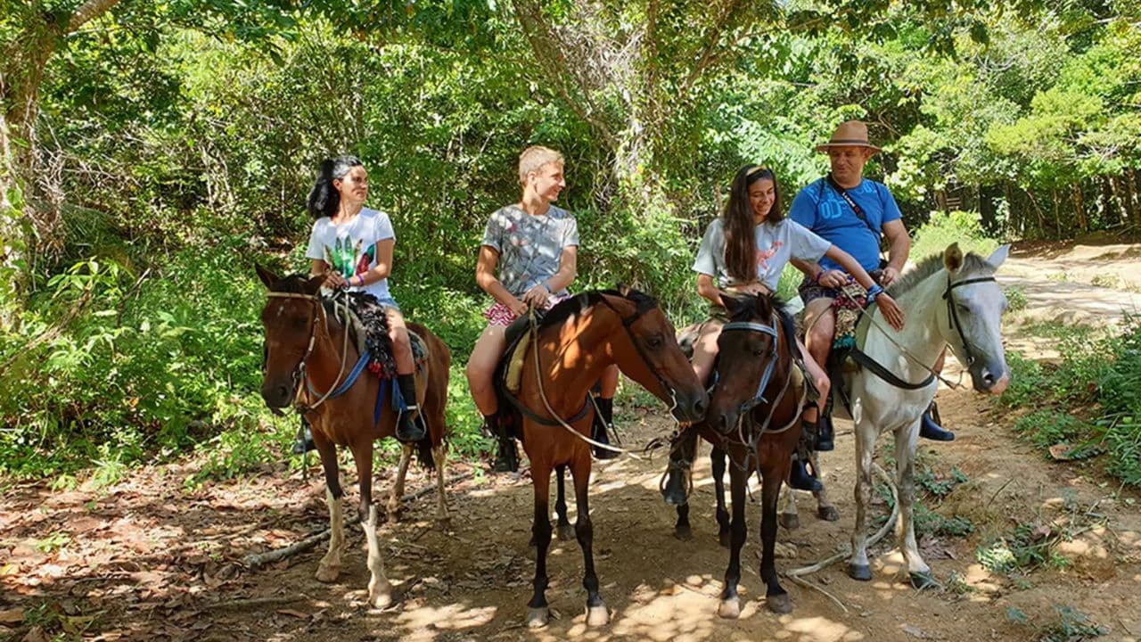 Punta Cana: Samana with Waterfall & Bacardi Island Day Trip