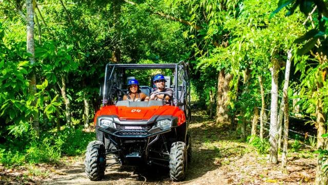 From Punta Cana: Jungle Buggy Adventure to Anamuya River - Dominican Republic