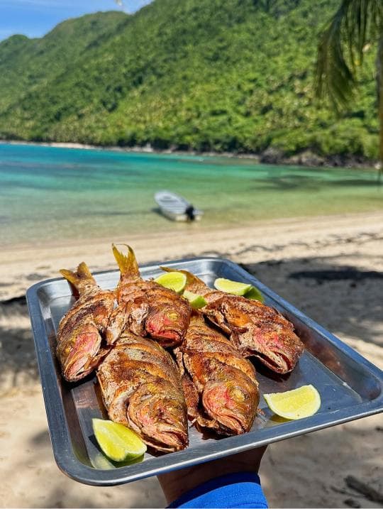 Playa Ermitano & Playa Honda Boat Tour from El Valle Beach - Samana