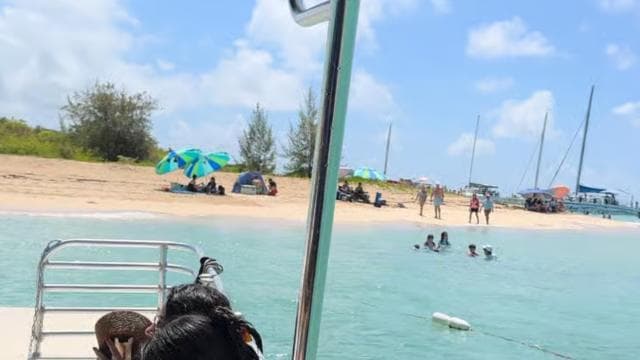 Vieques Adventure by Ferry from Ceiba.