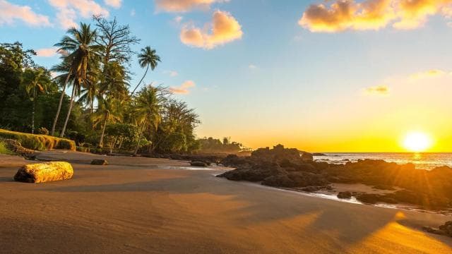 Cahuita National Park: Best Things to Do in Cahuita Limon