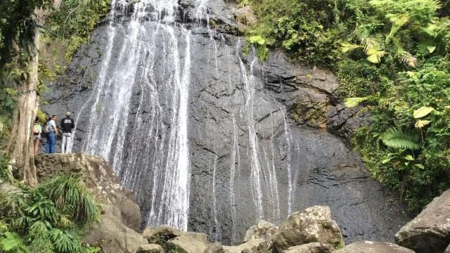 San Juan: El Yunque Rainforest Guided Tour