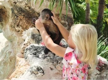 Punta Cana: Monkey Houses Private Tour