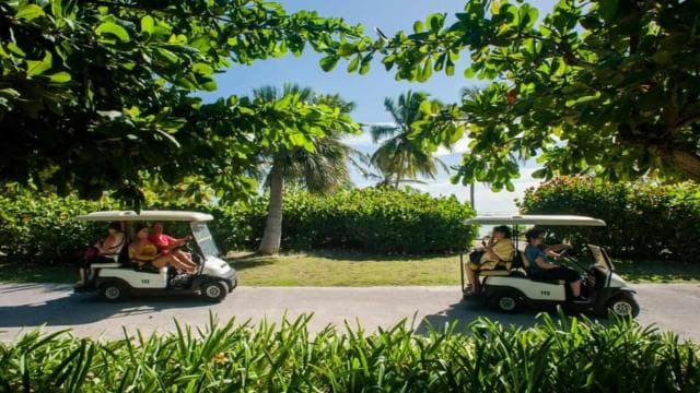 Punta Cana: Iguana Sanctuary, Sailing & BBQ Tour