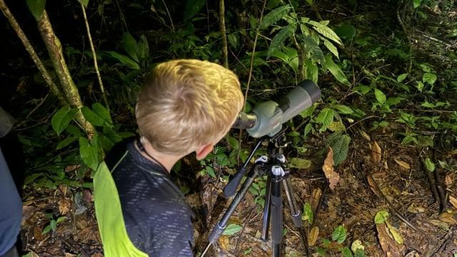 True Jungle Night Tour Manuel Antonio area