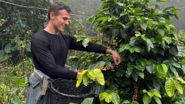 Zagala Nueva: Costa Rican Coffee Experience in the Mountains