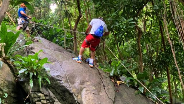 Puerto Rico: Yunque Ziplining at the Rainforest