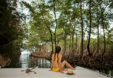 Los Haitises: Boat Tour Sabana de la Mar, Caves & Mangroves