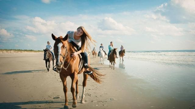Tamarindo: Horseback to Tamarindo Beach - Guanacaste, CR