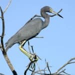 Hike + Kayak Los Haitises National Park from Boca Chica