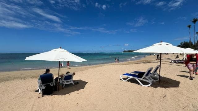 El Yunque Rainforest Waterslides and Beach Tour & Transport