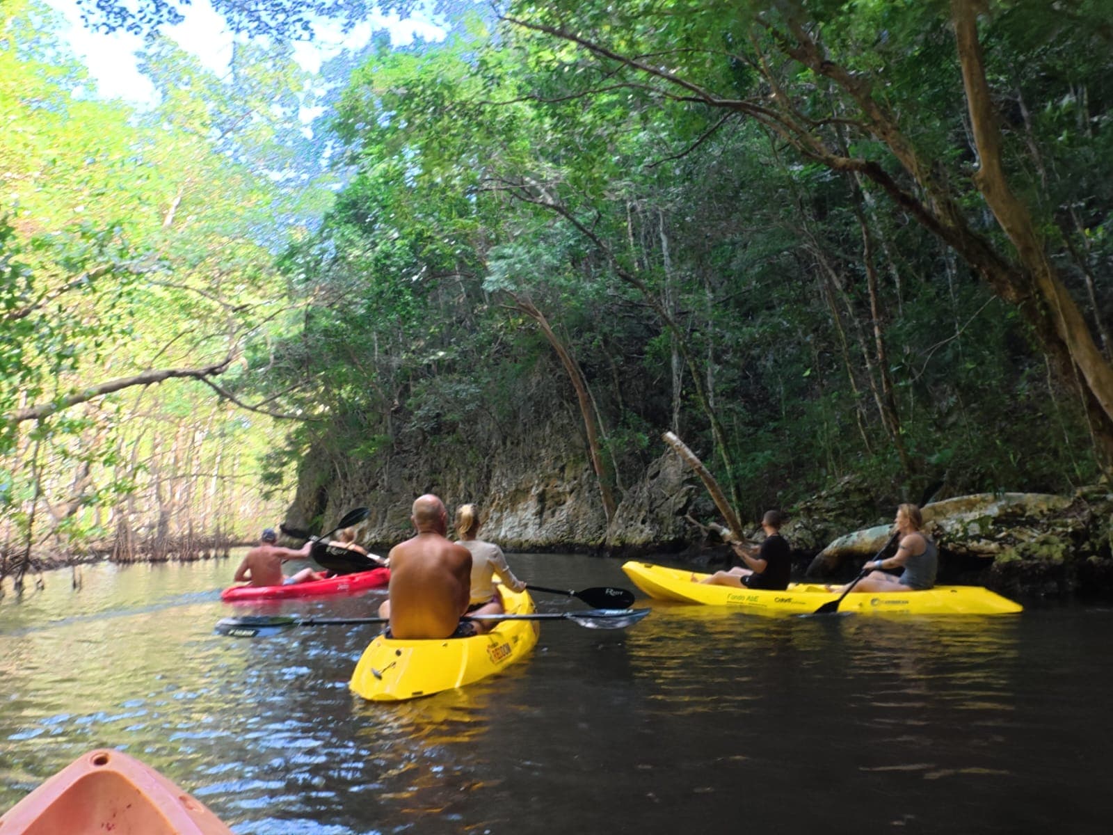 ATV, Kayaks & Caño Hondo Pools Tour from Samaná | Ferry Adventure