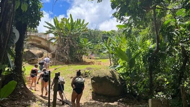 Luquillo: Rainforest Adventure with Food & Photos
