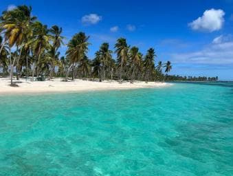 Punta Cana: Saona Island Full-Day Open Bar, Lunch & Transfer