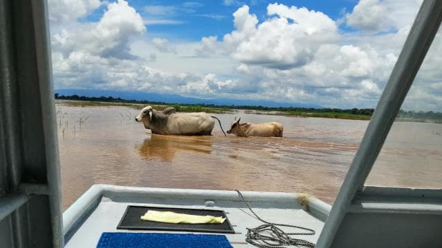 Caño Negro: Wildlife Discovery Tour