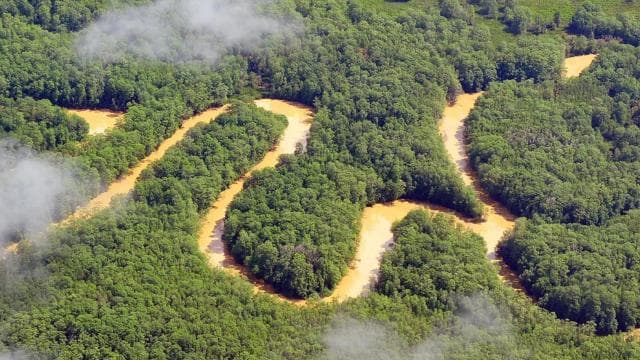 Costa Rica Mangrove Tour: Terraba National Wetlands - Uvita