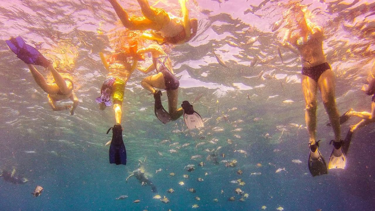 La Romana: Catalina Island Full-Day Snorkeling Tour