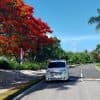 Private Transfer Punta Cana Airport to Nickelodeon