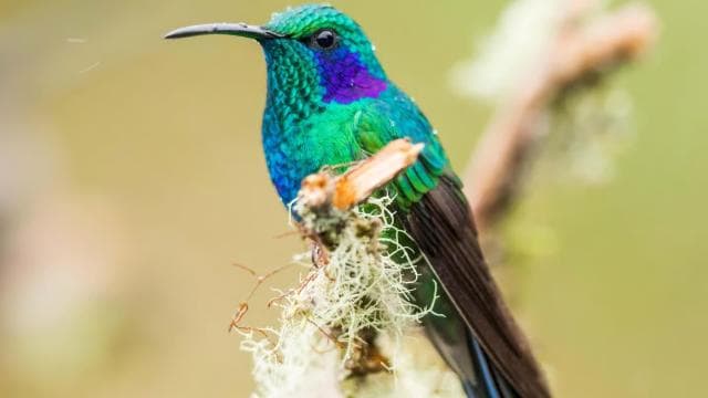 CR Luxury 14-Hour Off-the-Beaten-Path Tour Anywhere