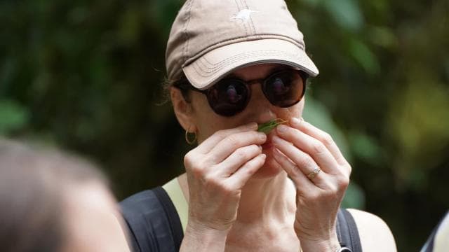 Manuel Antonio National Park: All-Inclusive Guided Tour