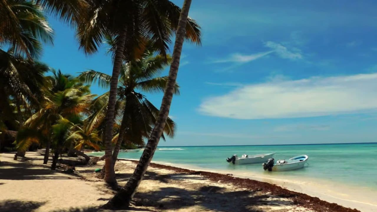 Aventura Exótica a Isla Saona: Paraíso en la Piscina Natural
