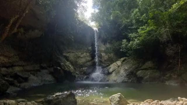 Puerto Rico: Gozalandia River Hiking and Waterfall Tour