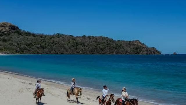 2 Hours Beach Horseback Riding